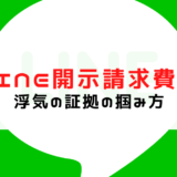 LINE 開示請求 費用