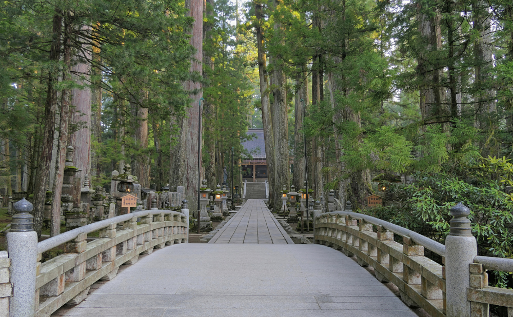 探偵 和歌山