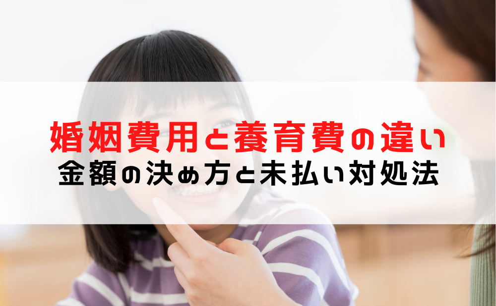 婚姻費用 養育費